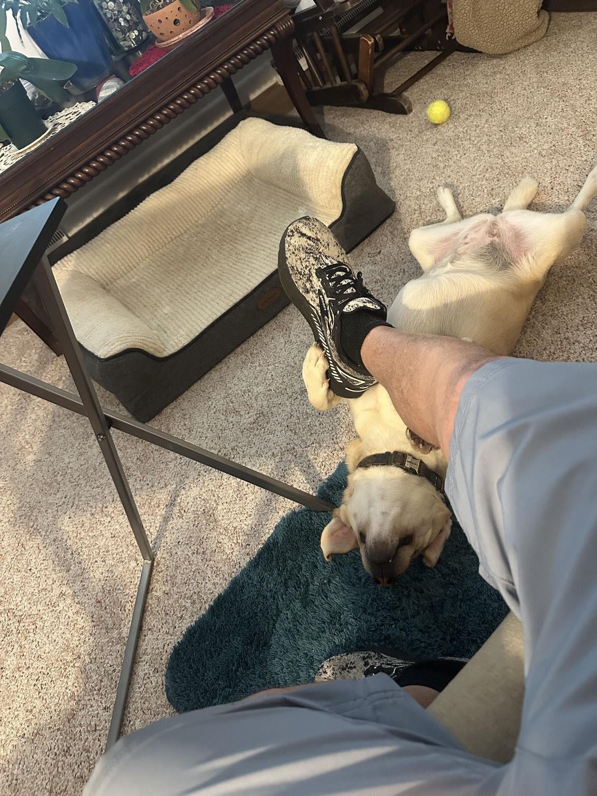 2026 Ram no Promaster RAM PROMASTER 1500 TRADESMAN CARGO VAN LOW ROOF 136' WB